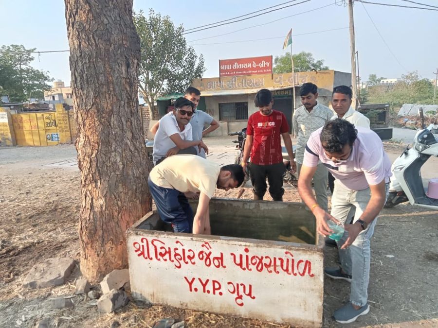 Y.Y.P members filling an animal water tank in Sihor